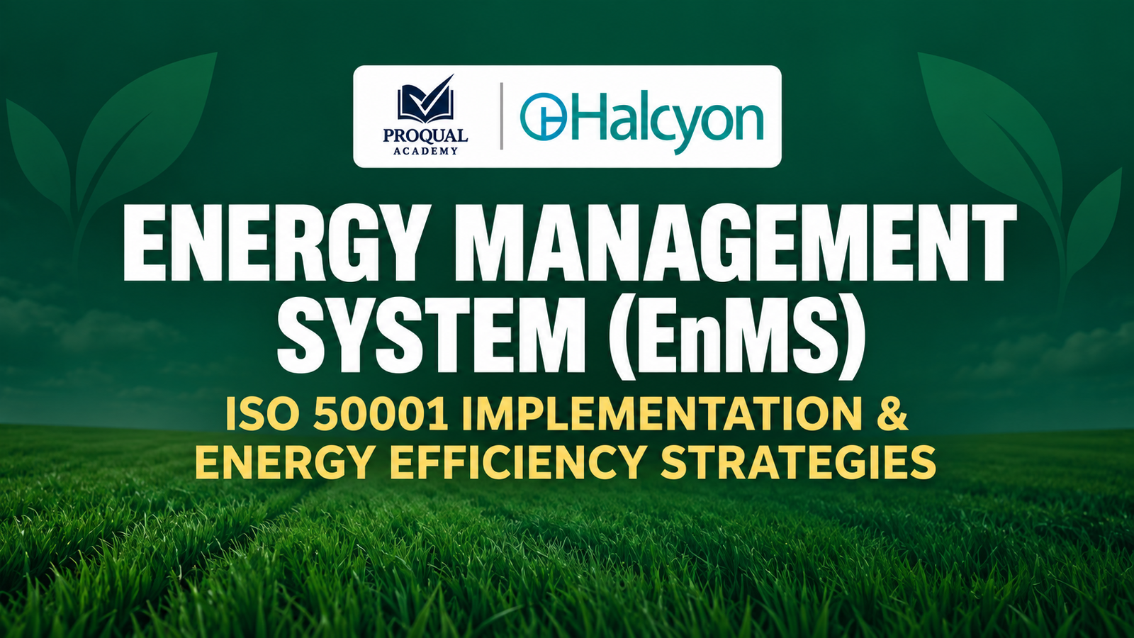 Energy Management Systems